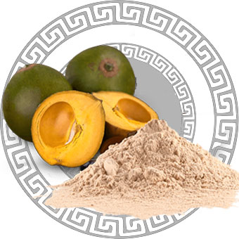 Powdered Lucuma